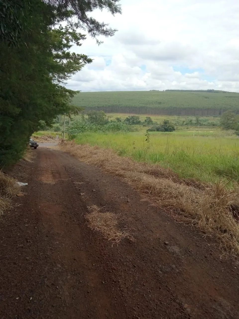 Terreno  - Foto 2