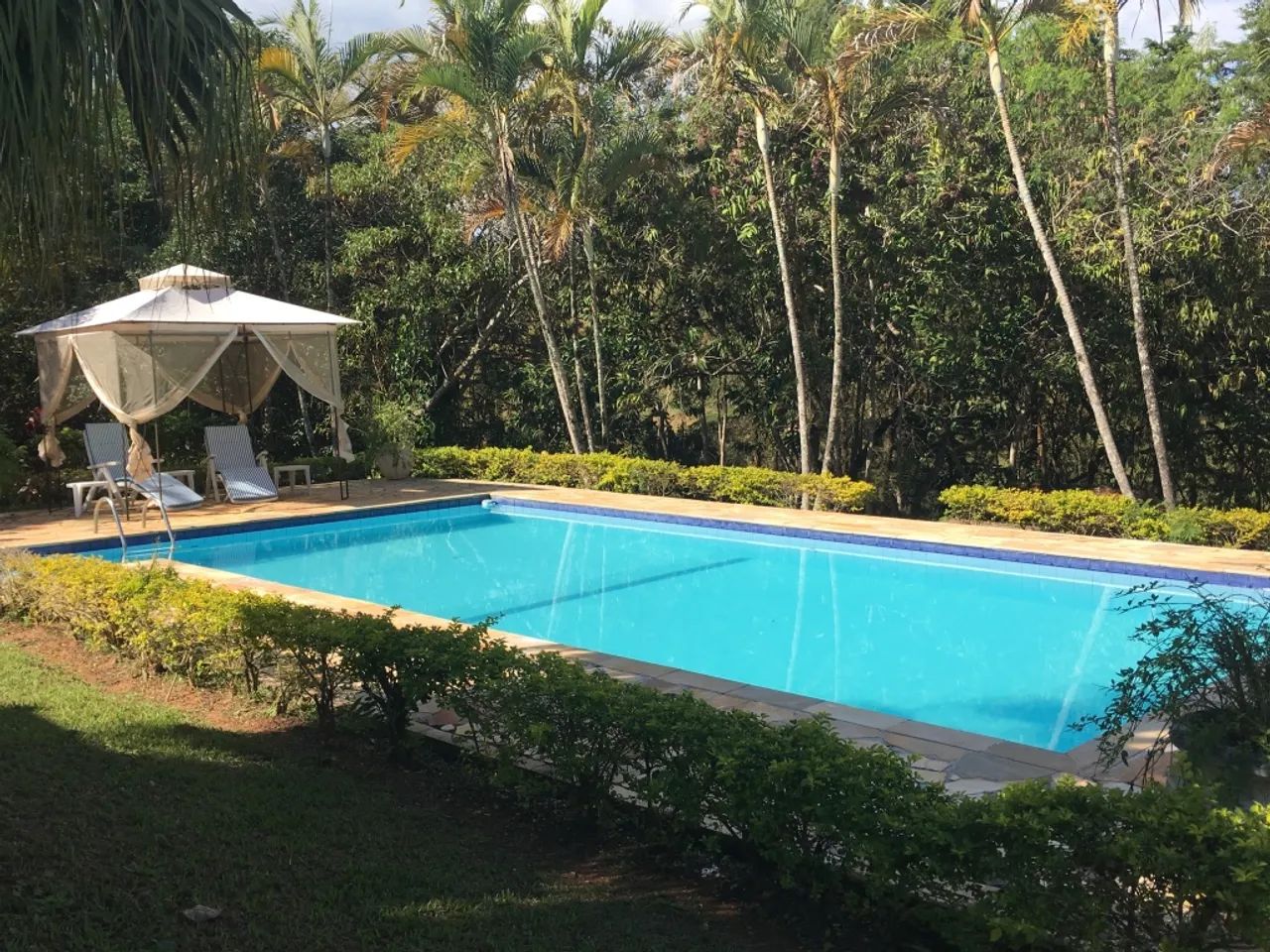 SÍTIO COM 8.8 HECTARES EM JAMBEIRO - Foto 3