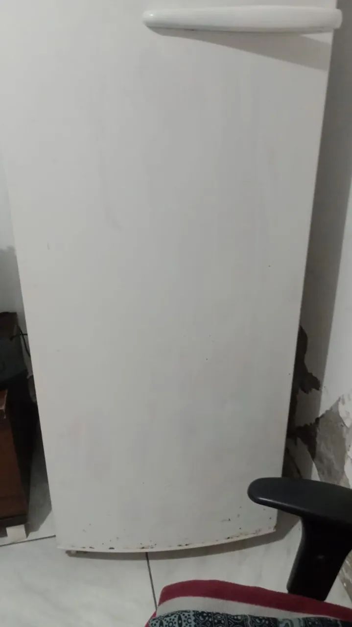 Frezeer vertical 