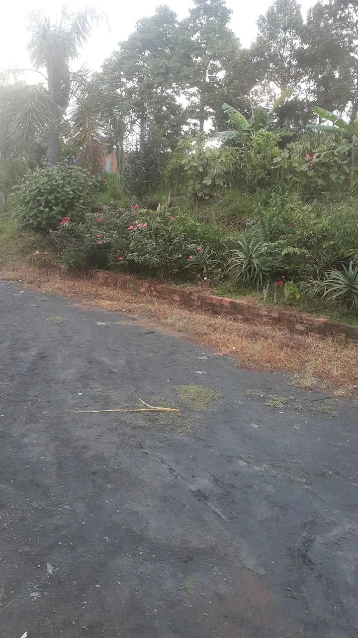 Sítio próximo à cidade  - Foto 5