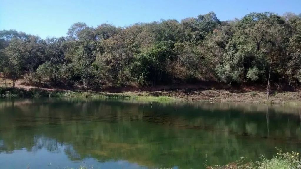 Oportunidade imperdível! Lote 1000 m2, com escritura e registro!  - Foto 2