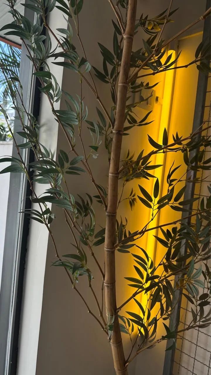 Bamboo Decorativo  - Foto 2