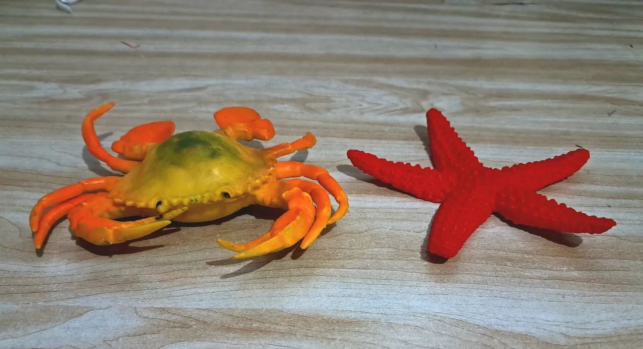 Réplica miniatura de siri e estrela do mar