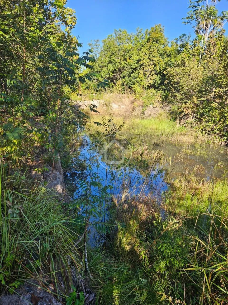 SITIO COM AÇUDE CAPÃO DE AROEIRA - Foto 4