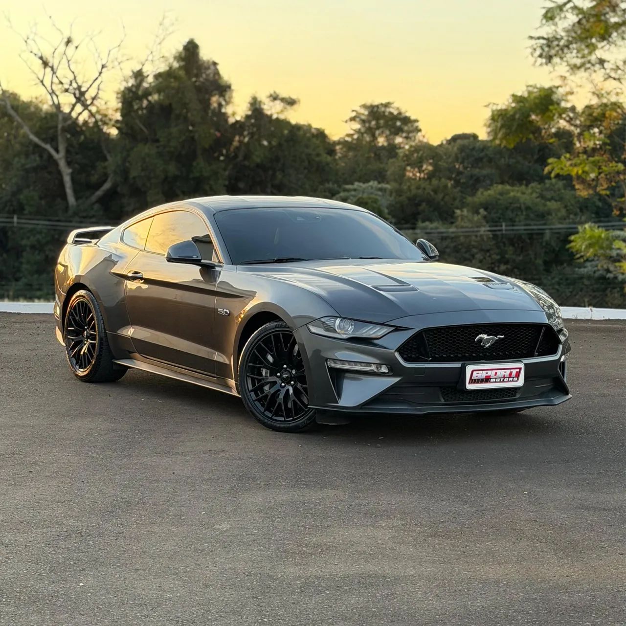 Ford Mustang Mustang GT Premium 5.0 V8 2018