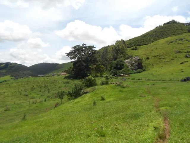 FAZENDA - Foto 2