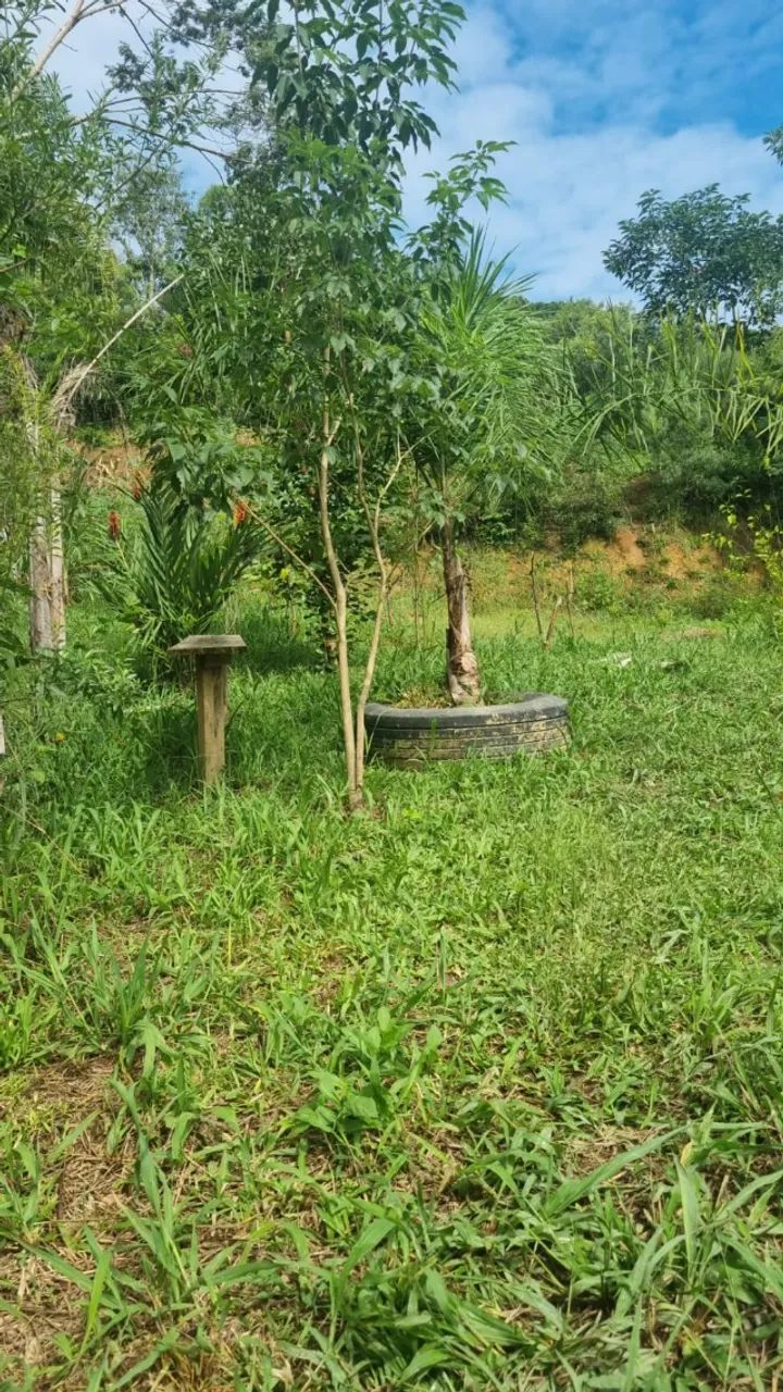 CHÁCARA À VENDA - EXCELENTE OPORTUNIDADE 