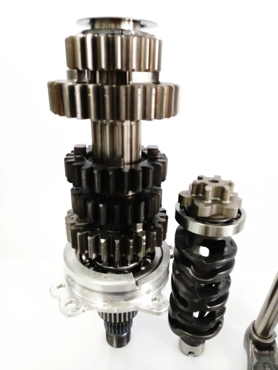 Cambio Triumph Tiger 1200 Gt 2022/2024 - Foto 4