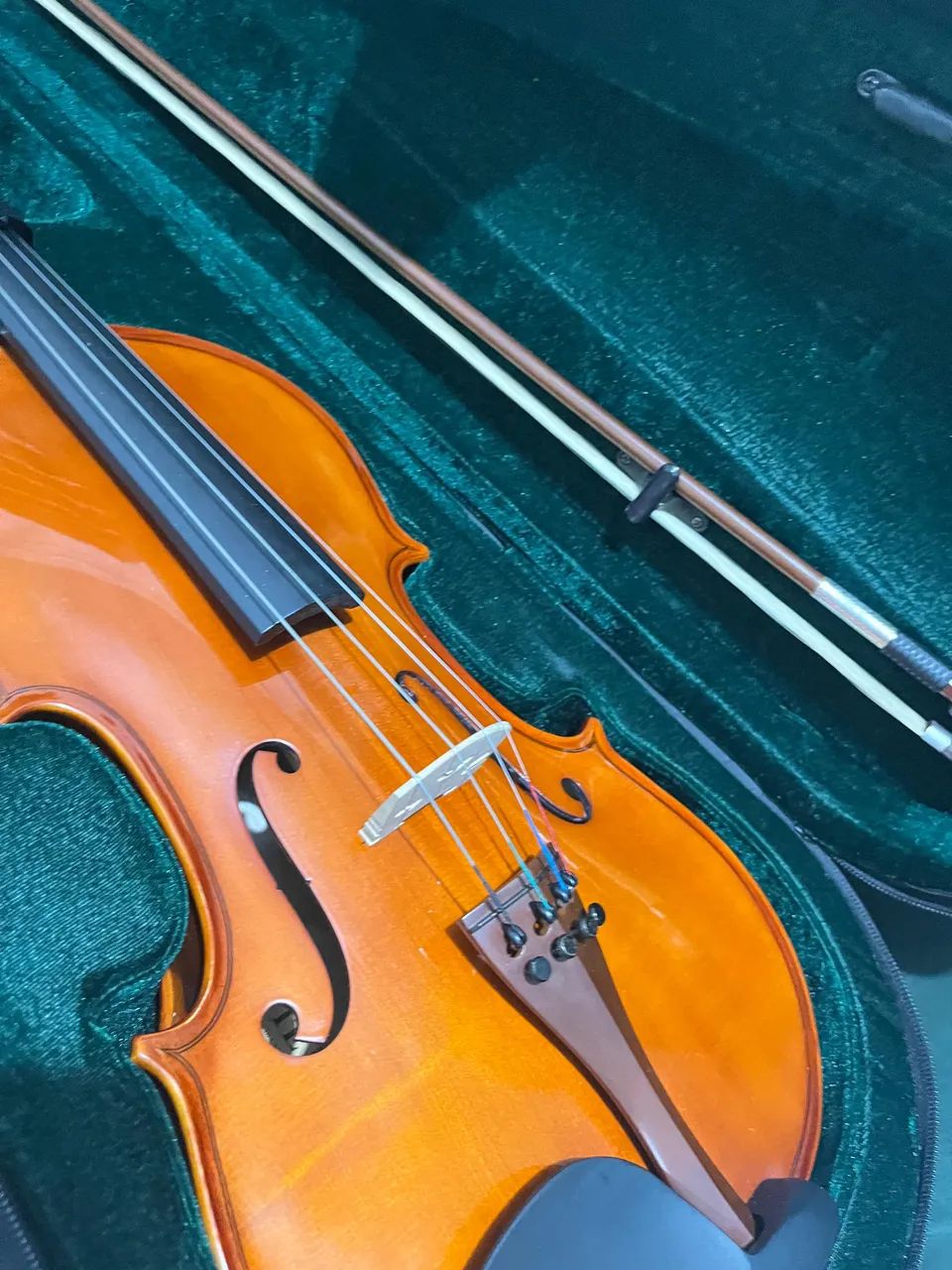 Viola 4/4 Completo + Arco e Estojo | Ótimo Estado de Conservação