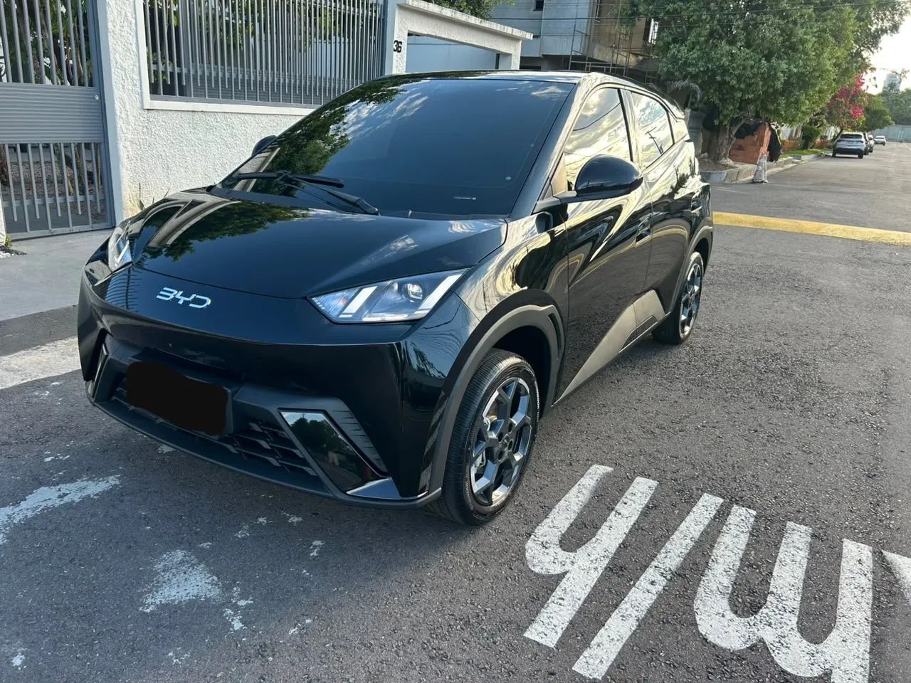 BYD Dolphin Mini (Elétrico) 2027
