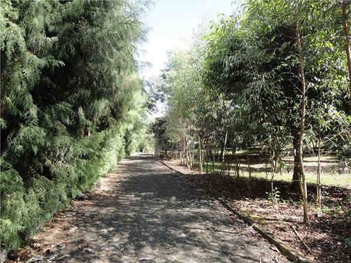 Terreno residencial à venda, Betel, Paulínia. - Foto 15