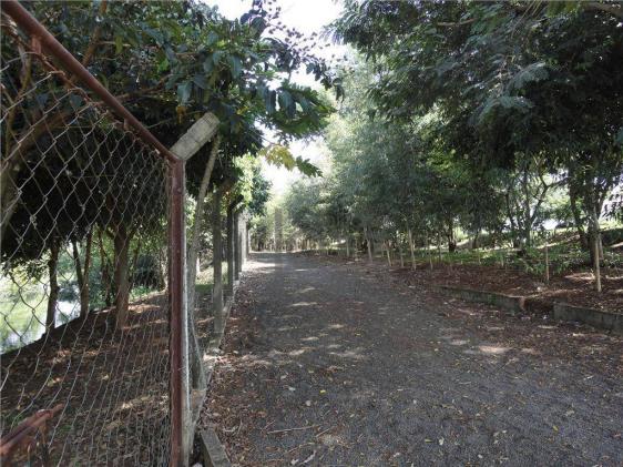 Terreno residencial à venda, Betel, Paulínia. - Foto 9