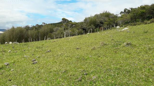 Terreno com vista para Praia do luz - Foto 7