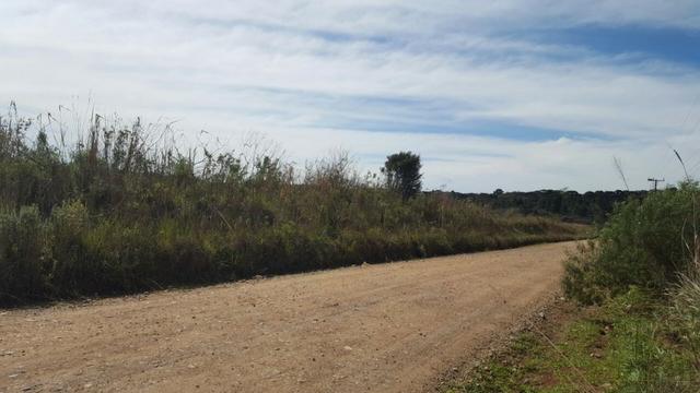 Chácara com 242.000 m² Rincão Tijucas do Sul - Foto 3