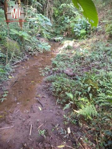 Lindo sítio com 02 alqueires, nascente, perto da cidade, piscina em Pedra Bela sp - Foto 12