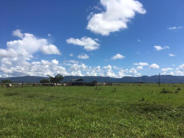 Fazenda Dupla Aptidão em Jangada - Foto 5