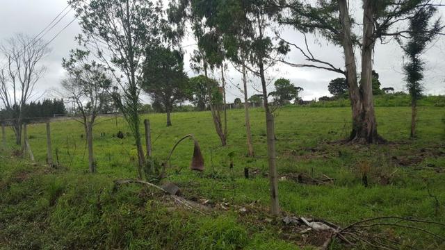 Chácara/bem localizada, de frente para Rodovia BR277 só R$3.499.000,00 - Foto 14