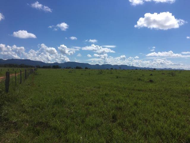 Fazenda Dupla Aptidão em Jangada - Foto 4