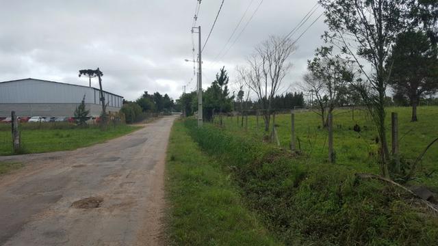 Chácara/bem localizada, de frente para Rodovia BR277 só R$3.499.000,00 - Foto 10
