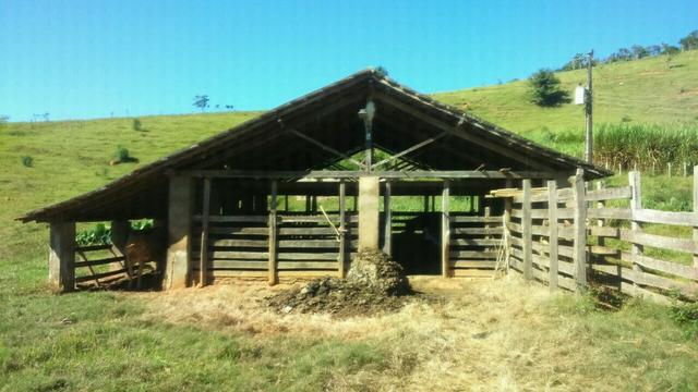 Fazenda em Cachoeira de Minas - Foto 8