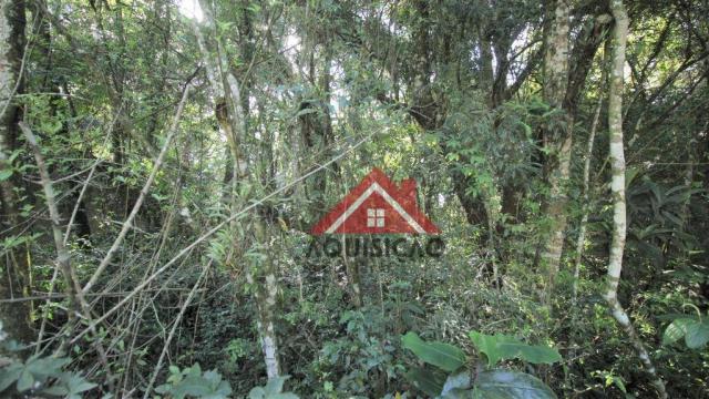 Terreno à venda, 1066 m² por r$ 528.990,00 - cidade industrial - curitiba/pr - Foto 10