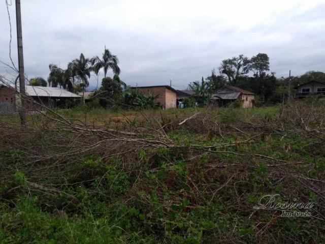 Terreno à venda, 360 m² por r$ 45.000 - vila das palmeiras - morretes/pr - Foto 6
