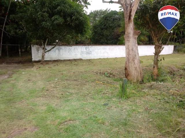 Terreno BR 316- Frente a Heineken com 87.000 m² - Região Metropolitana Belém/PA - Foto 2