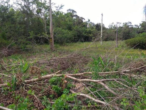 Terreno à venda, 360 m² por r$ 45.000 - vila das palmeiras - morretes/pr - Foto 10