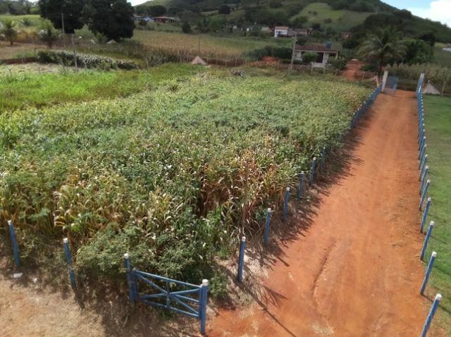 Terreno ou Rancho - Foto 20