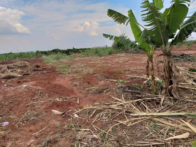 Terreno Jd Canada Batatais SP - Foto 10