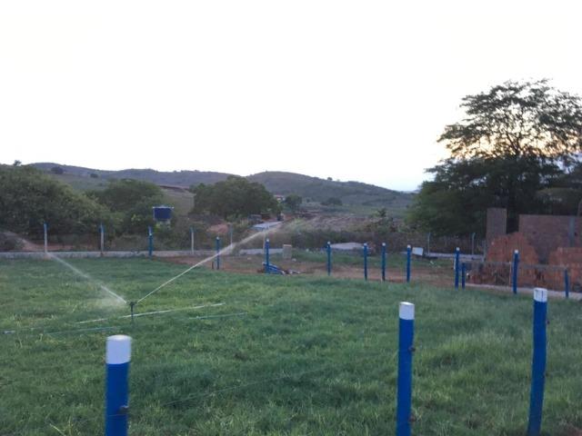 Terreno ou Rancho - Foto 14