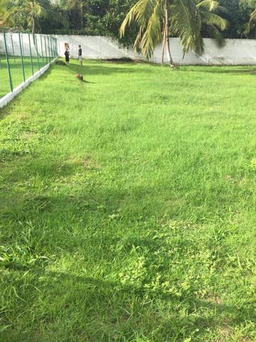 Terreno/Lote Arquipélago Do Sol Grand Bahamas Barra de São Miguel - Foto 2
