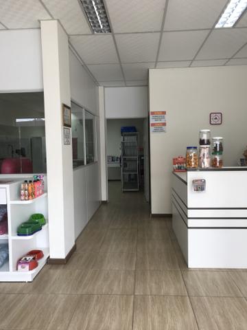 Vende-se petshop completo - Foto 2