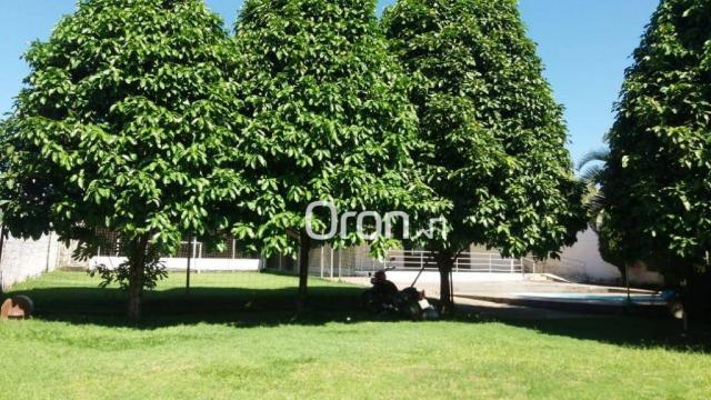 Chácara com 1 dormitório à venda, 2600 m² por R$ 1.200.000,00 - Jardim Marques de Abreu - - Foto 6