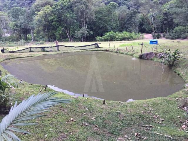 Chácara à venda em Pirabeiraba, Joinville cod:18298N - Foto 11