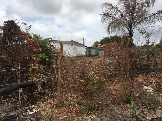 Vendo terreno-R$ 120 mil, 6 lote 9x19 MIritiui- aceito propostas e carro na negociação - Foto 3