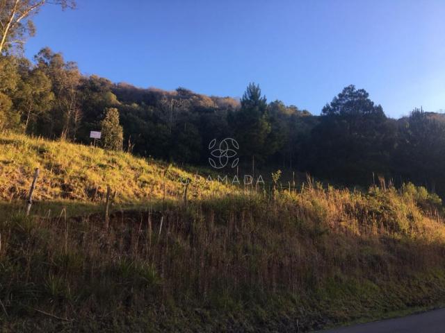 LINDA ÁREA DE TERRA NA LINHA ÁVILA