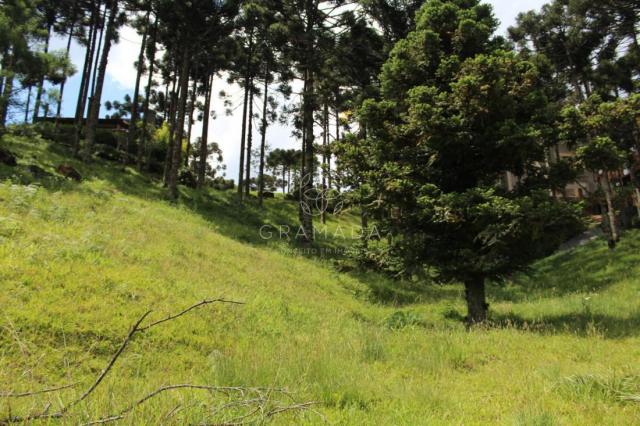 MELHOR CONDOMÍNIO DE GRAMADO - Foto 5