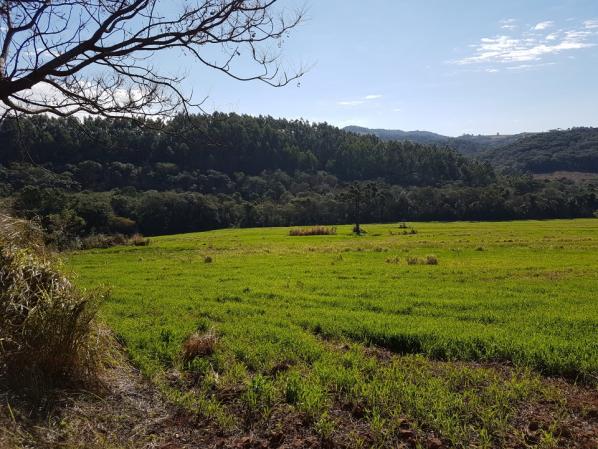 8345 | Sítio à venda em Rural, Santa Maria - Foto 8