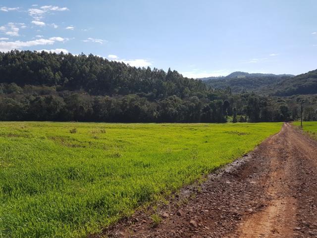 8345 | Sítio à venda em Rural, Santa Maria - Foto 10