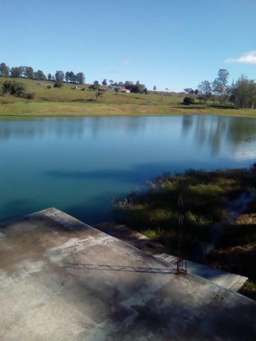 Vende-se Chácara a Beira da Represa em Carlópolis PR - Foto 9