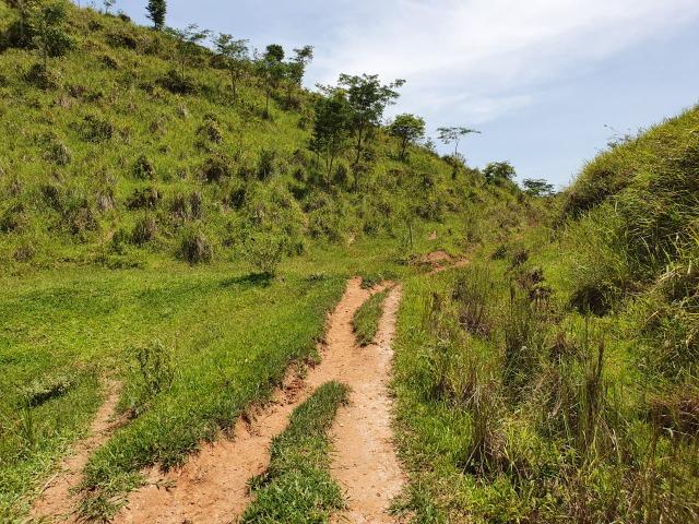 Sítio com 7 Alqueires, estrada do Turvo - Foto 17