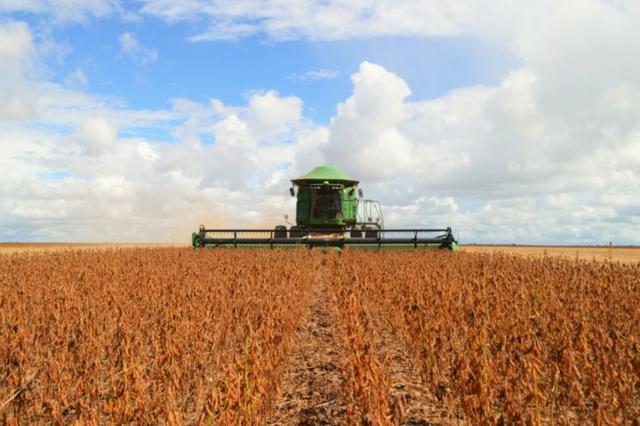 Procuro área para soja até 300 hectares