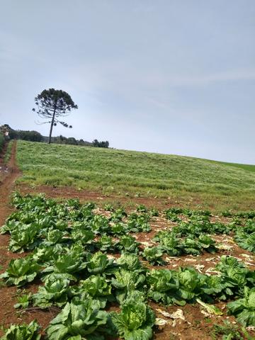 Chácara ao lado da fazenda Rio grande Marcos telefone * - Foto 2