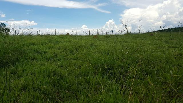 01U. venha escolher 1000mts² terrenos em jacarei - Foto 2