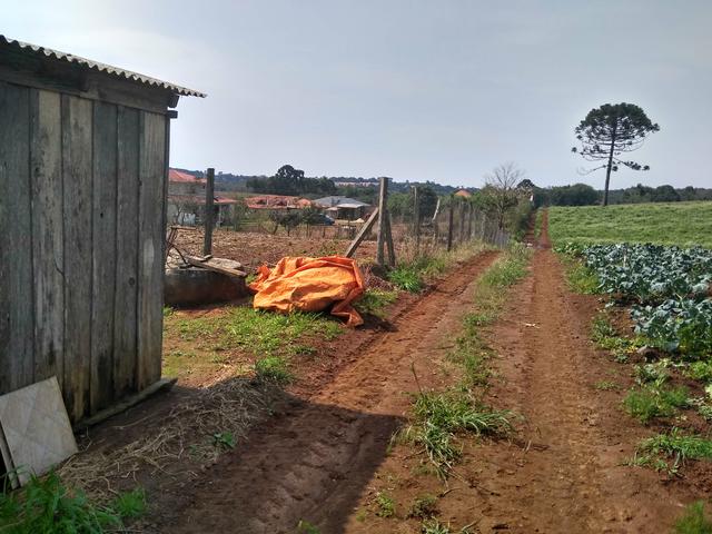 Chácara ao lado da fazenda Rio grande Marcos telefone *