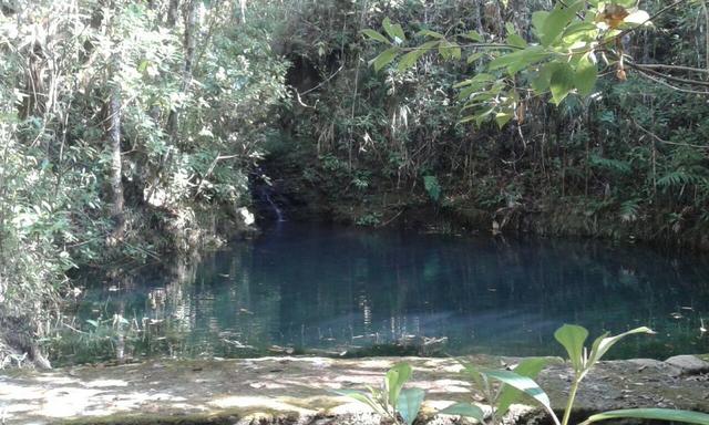 Chácara com área de 4000m², 14 km de Alto Paraíso de Goiás - Foto 10