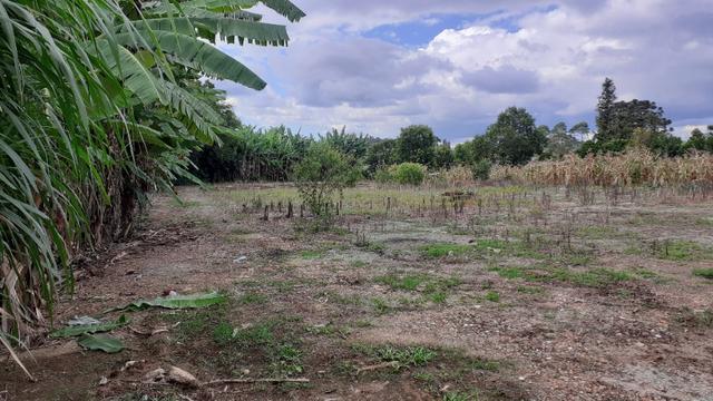 Terreno 2.400m2 - Vila Nova Prudentópólis - Foto 2