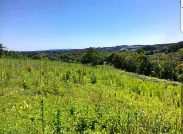 Troco Terreno em Mandirituba por veículos - Foto 4