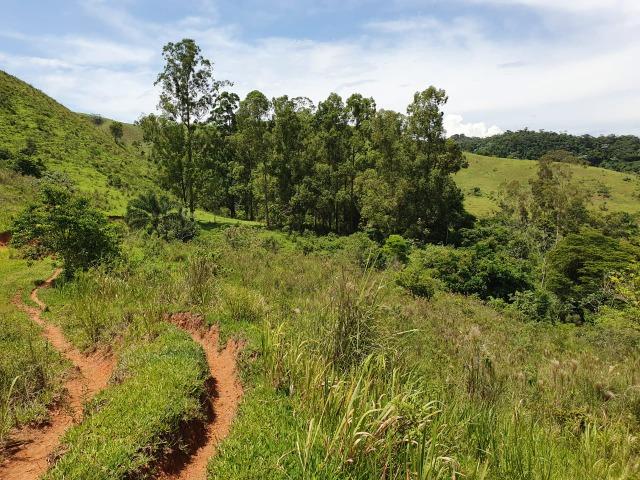 Sítio com 7 Alqueires, estrada do Turvo